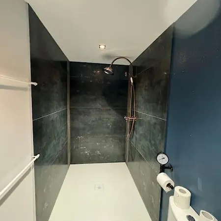 Appartement T1 4 Pers Clim Parking Prive Épinal Buitenkant foto